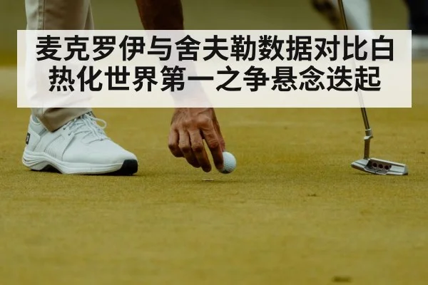 麦克罗伊与舍夫勒数据对比白热化世界第一之争悬念迭起