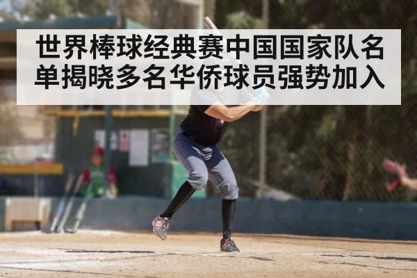 世界棒球经典赛中国国家队名单揭晓多名华侨球员强势加入